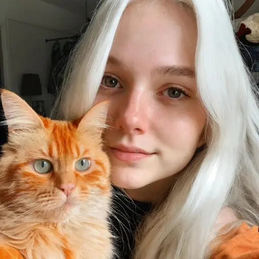 Avatar AI: Tu Imagen Convertida en Arte