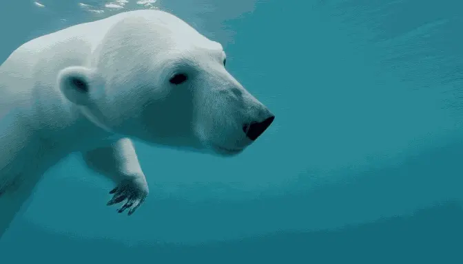 Créer Des GIFs Animés Et Des Vidéos À Partir De Texte Avec Hotshot Xl