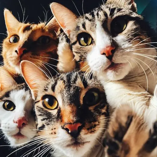 Explora los Avatares AI Gratis Online