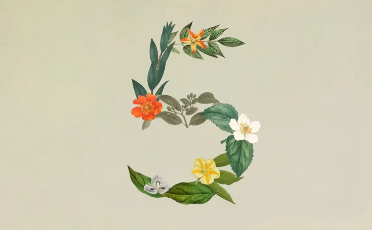 Claude Fable 5