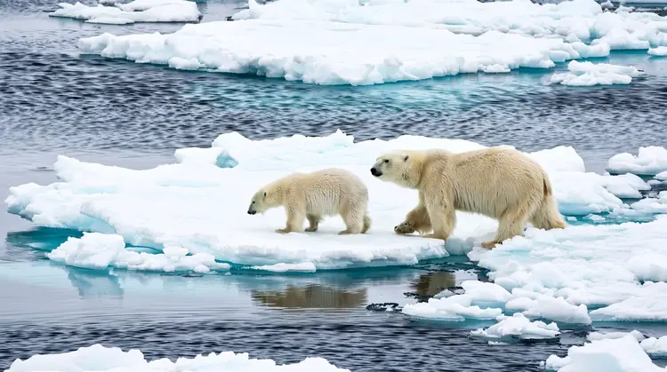 Cinematic shot of a polar bear and her cub crossing a melting ice floe