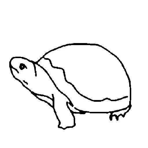 a photo of a brightly colored turtle