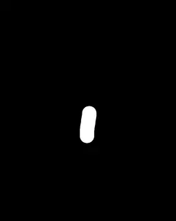 Input 1