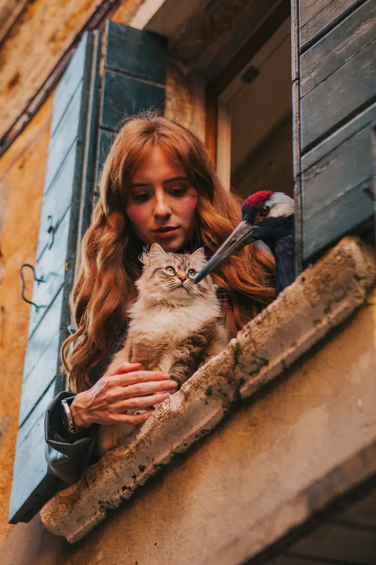 The person from image 1 is petting the cat from image 2, the bird from image 3 is next to them