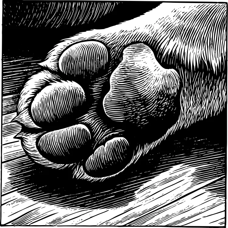 مخلب كلب مرح، أسلوب النقش