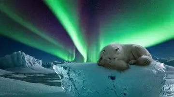 Crea Videos Impresionantes Con IA Con Pixverse V5